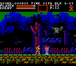 Owl attack!